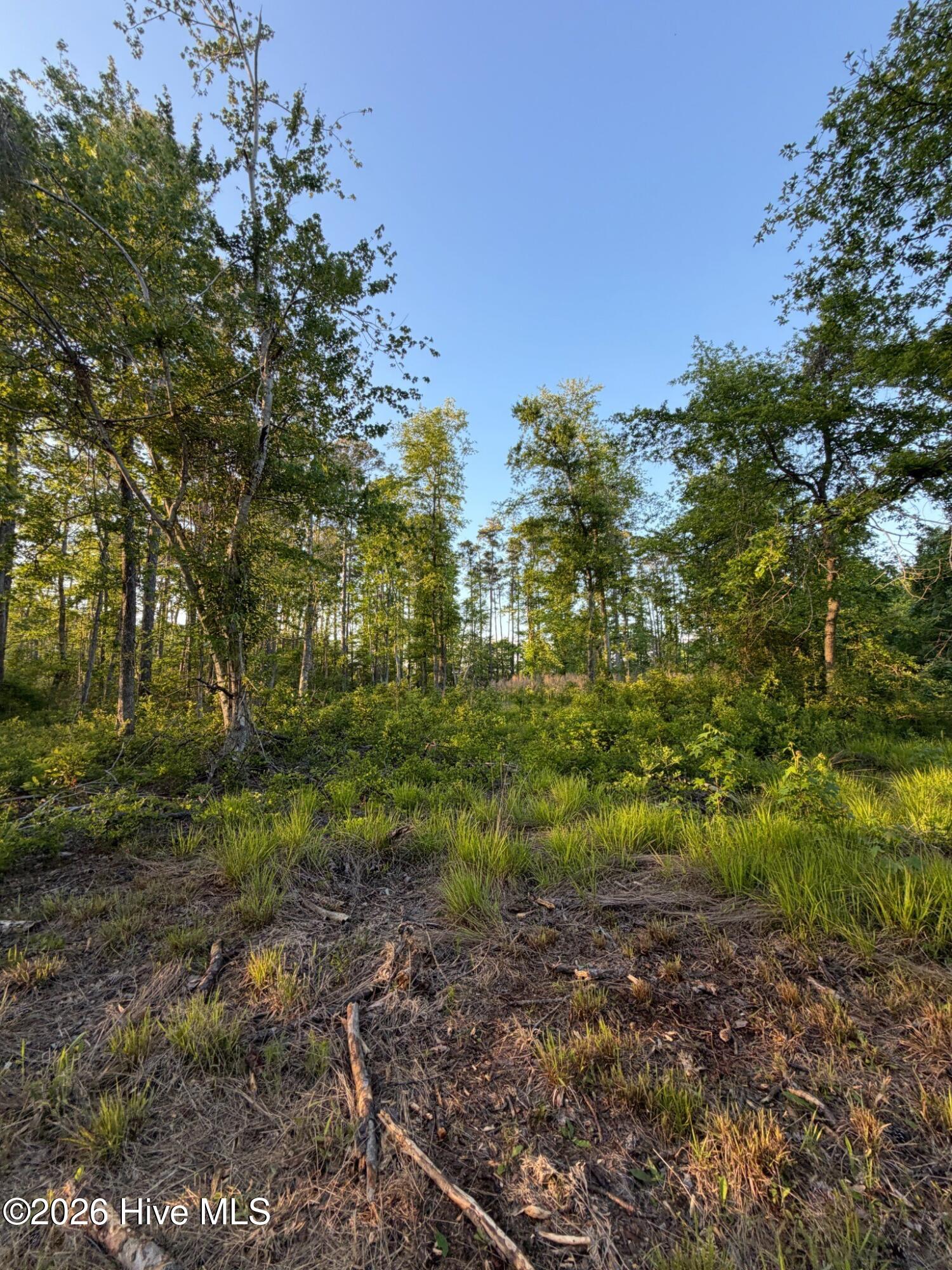 705 Russells Creek Road Beaufort, NC 28516 - Photo 33 of 36