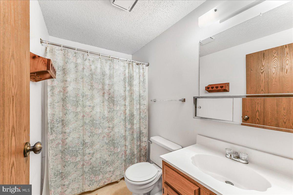 252 Althouse Road Cochranville, PA 19330 - Photo 15 of 28 a bathroom with a sink a toilet and shower curtain