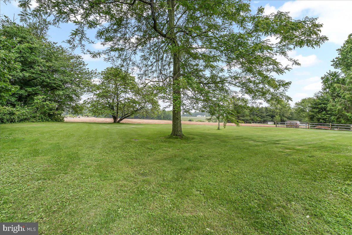 252 Althouse Road Cochranville, PA 19330 - Photo 26 of 28 a view of yard with trees