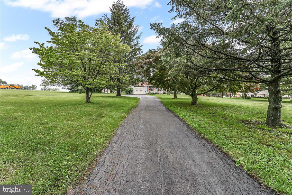 252 Althouse Road Cochranville, PA 19330 - Photo 4 of 28 a view of a park with large trees