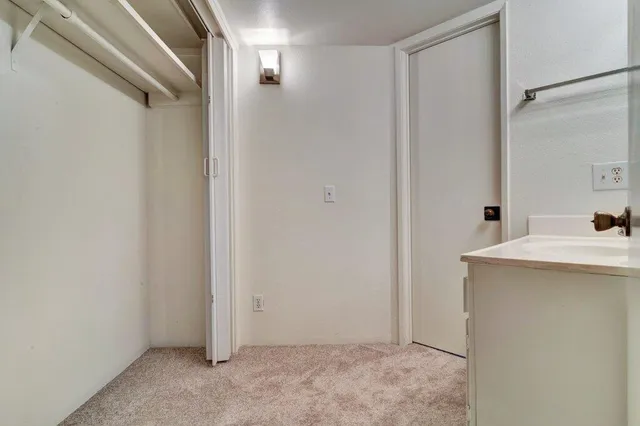 a potted plant sitting on a wall in front of a building