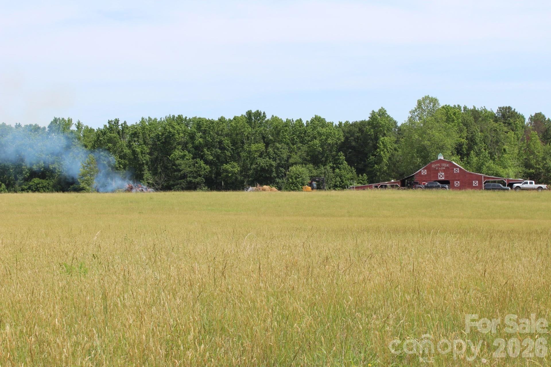 Lot 9 Raintree Farm Lane, Unit 9 Rutherfordton, NC 28139 - Photo 10 of 33