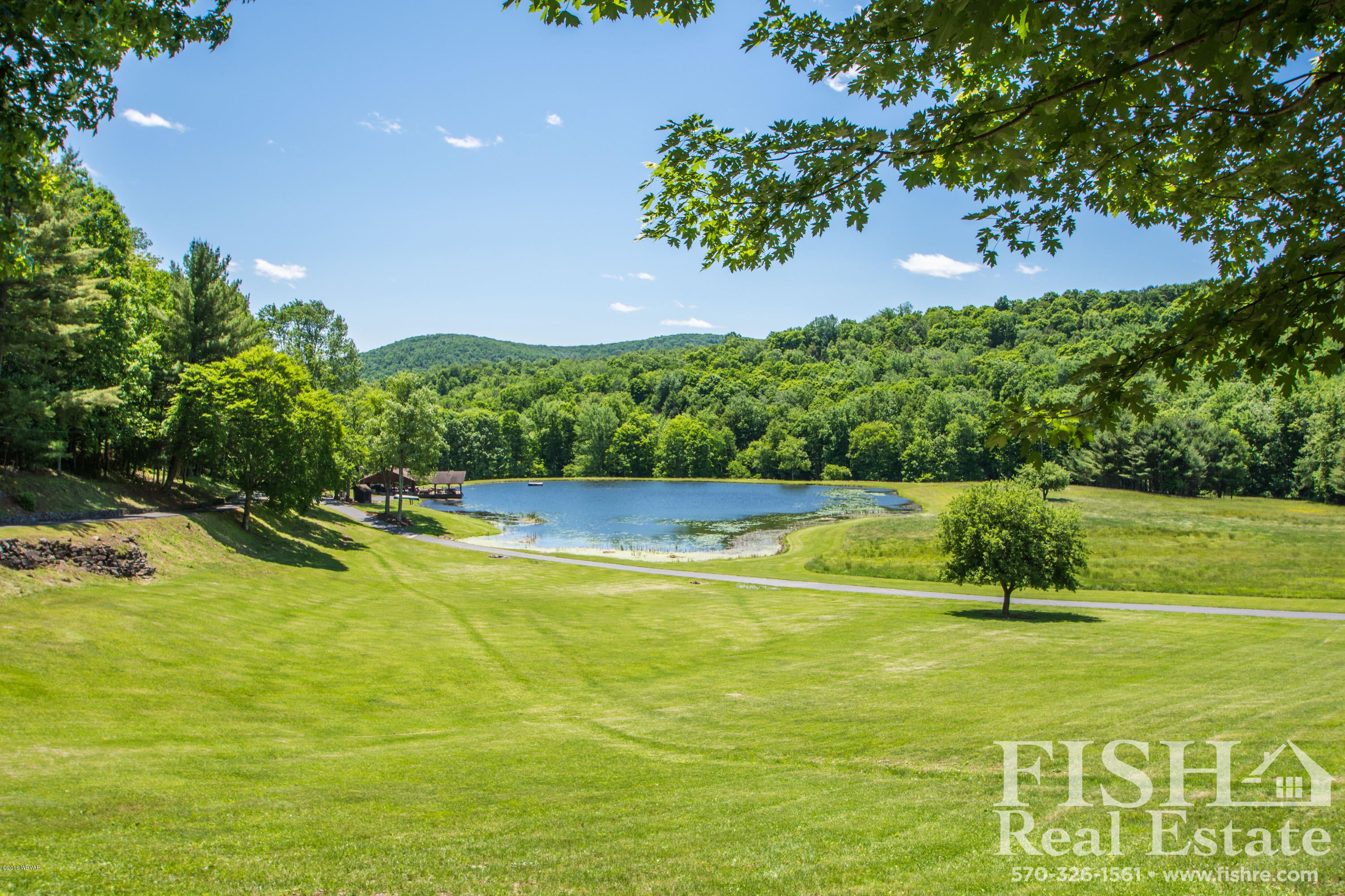582 Mostellers Road Trout Run, PA 17771 - Photo 7 of 49 View From Front Porch