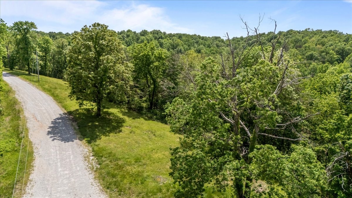 211 Minnow Road Waverly, TN 37185 - Photo 2 of 24