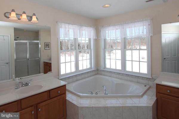 2514 Sapling Ridge Lane Brookeville, MD 20833 - Photo 18 of 25 SOAKING TUB & 2 SEPERATE VANITIES