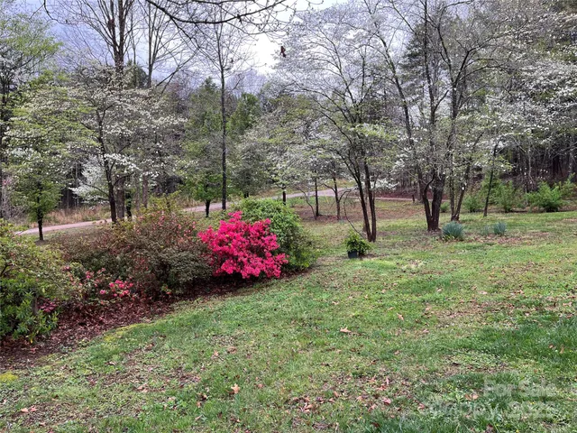 a view of a backyard
