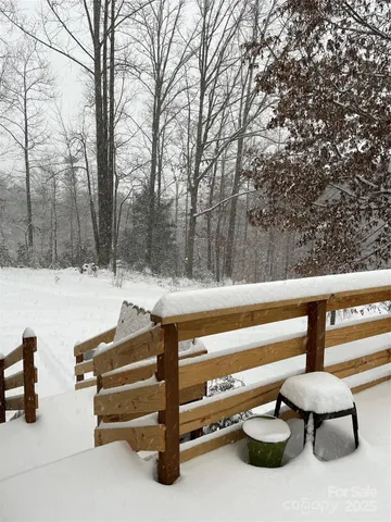 a view of backyard with trees