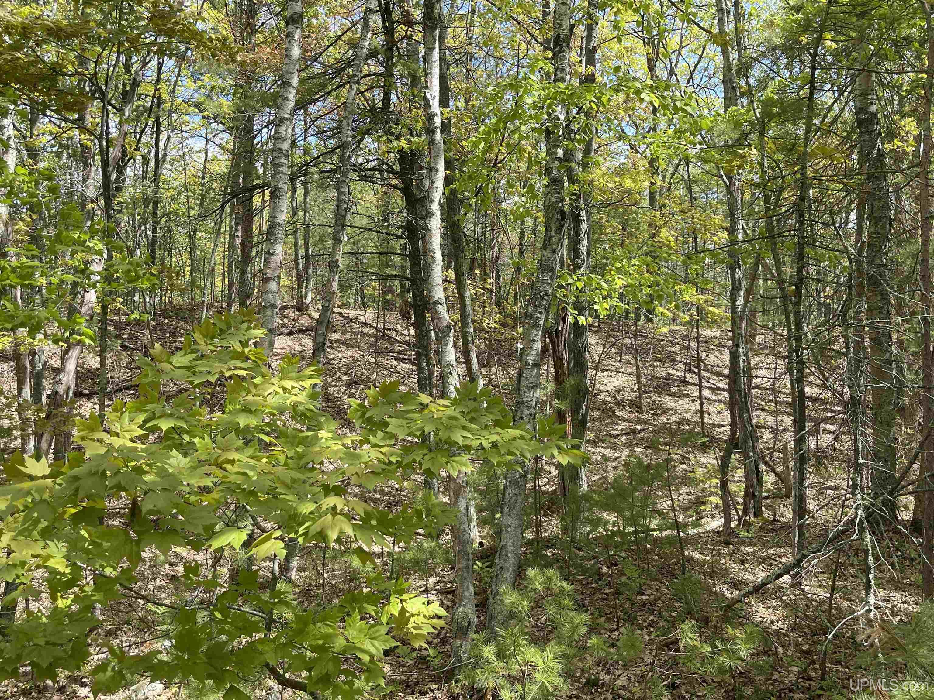 1396-ff Top O The Lake Road Gulliver, MI 49840 - Photo 19 of 26