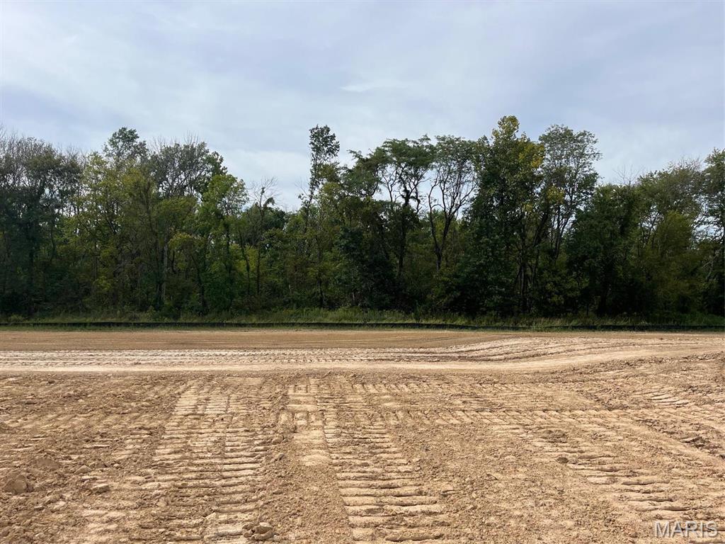 9958 Keck Road St. Jacob, IL 62281 - Photo 7 of 9