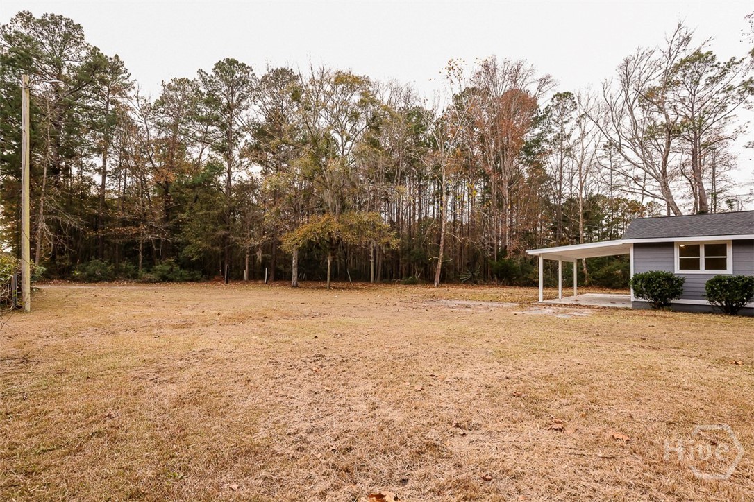 288 Isle Of Wight Road Midway, GA 31320 - Photo 4 of 38