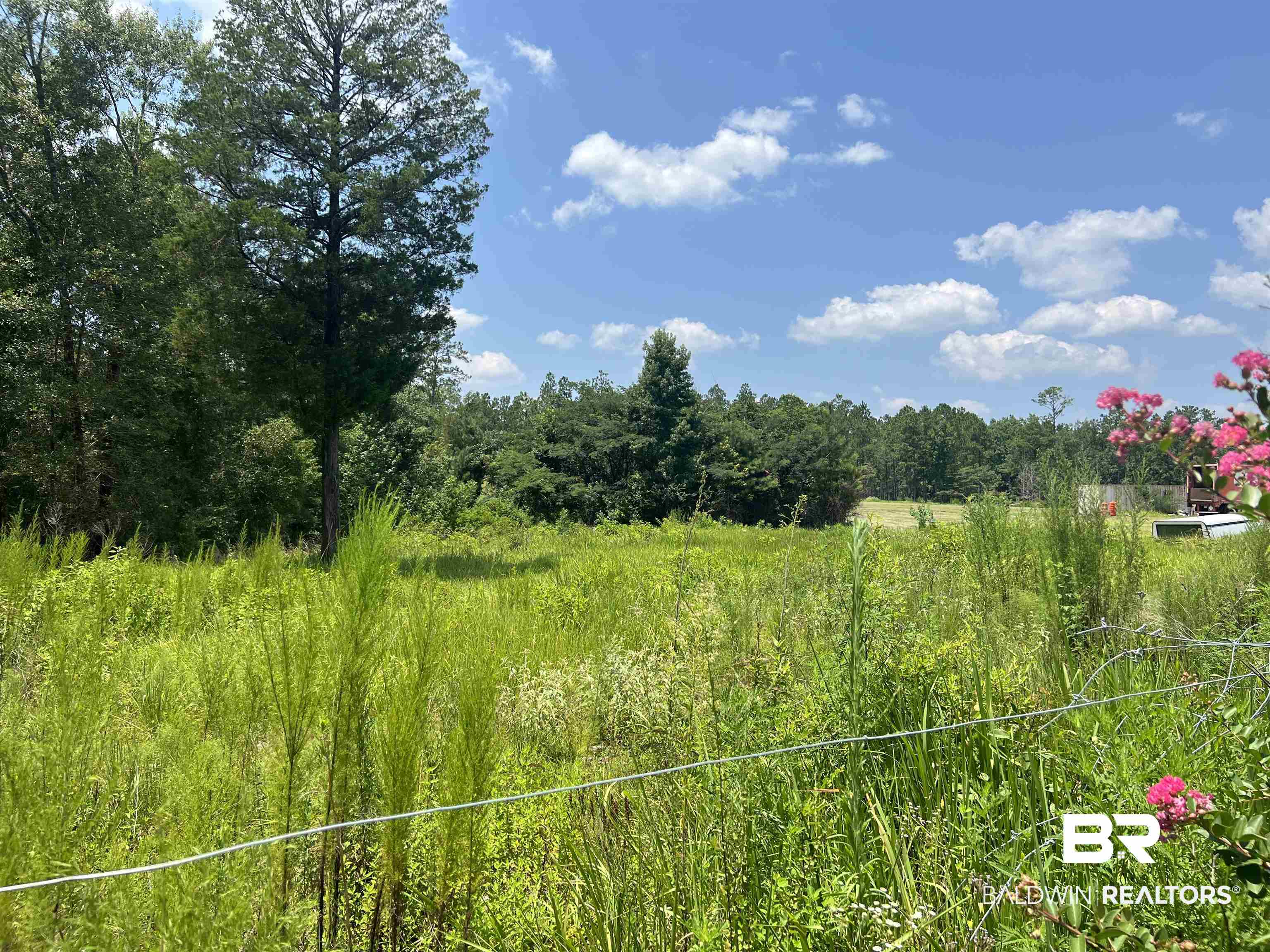 0 Beverly Jefferies Highway Citronelle, AL 36522 - Photo 9 of 19