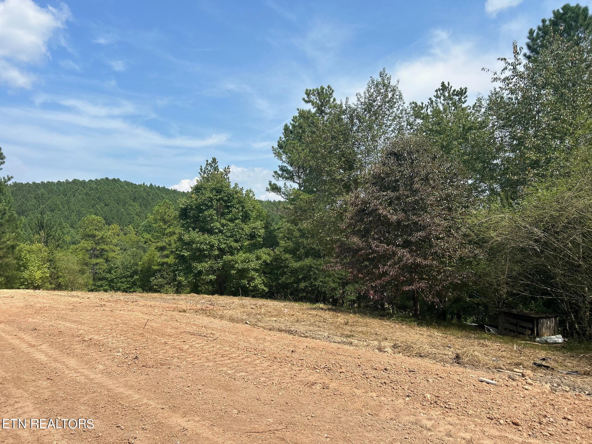 325 Old Mill Road Dayton, TN 37321 - Photo 6 of 18 IMG_2594