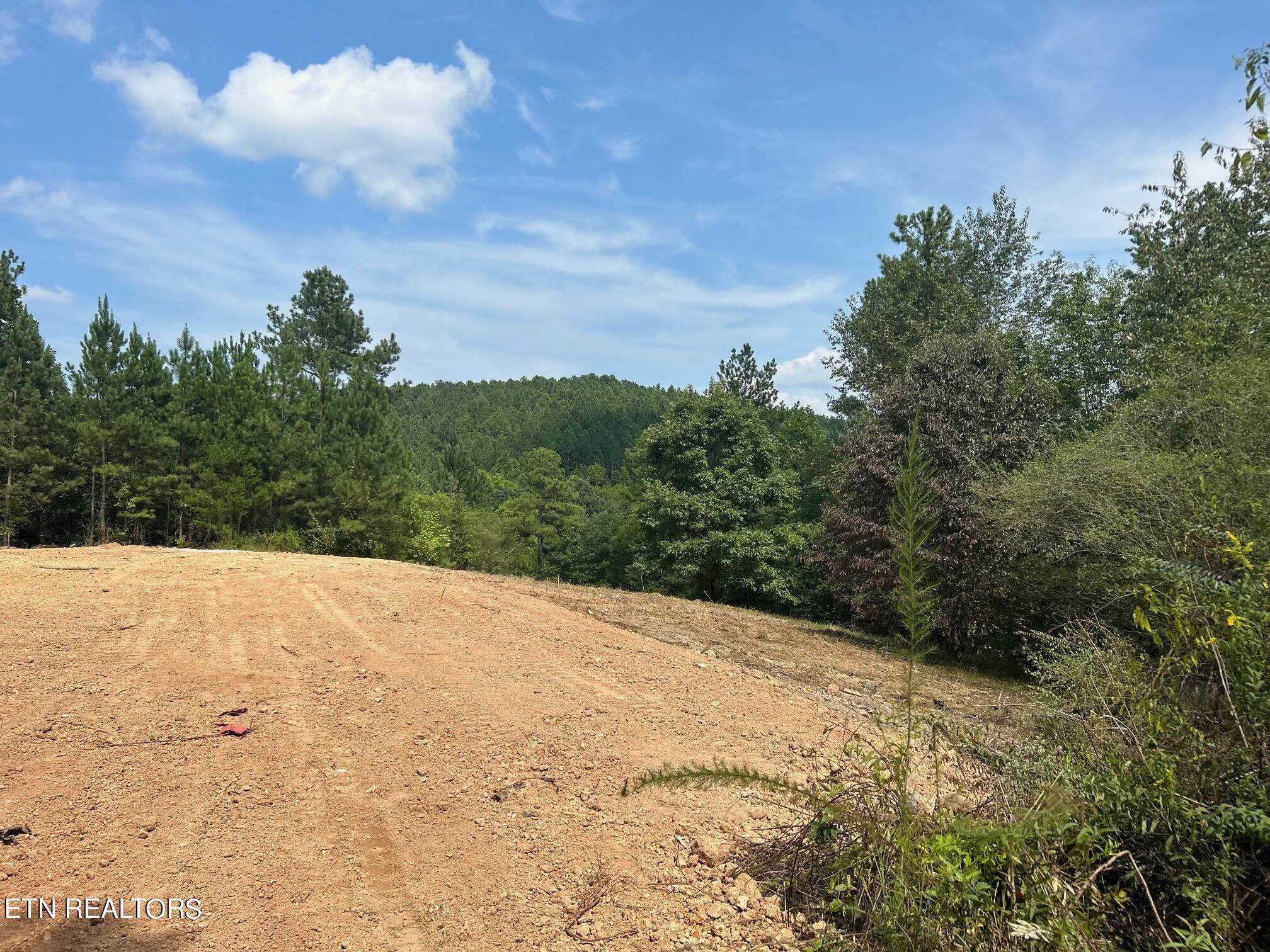 325 Old Mill Road Dayton, TN 37321 - Photo 8 of 18 IMG_2591