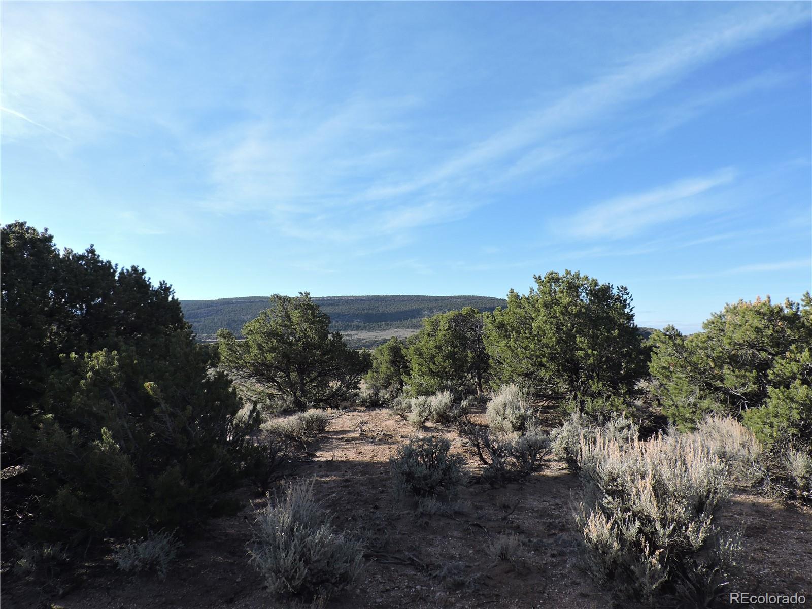 2507 Icehouse Road Fort Garland, CO 81133 - Photo 2 of 20 Gallery Image 2