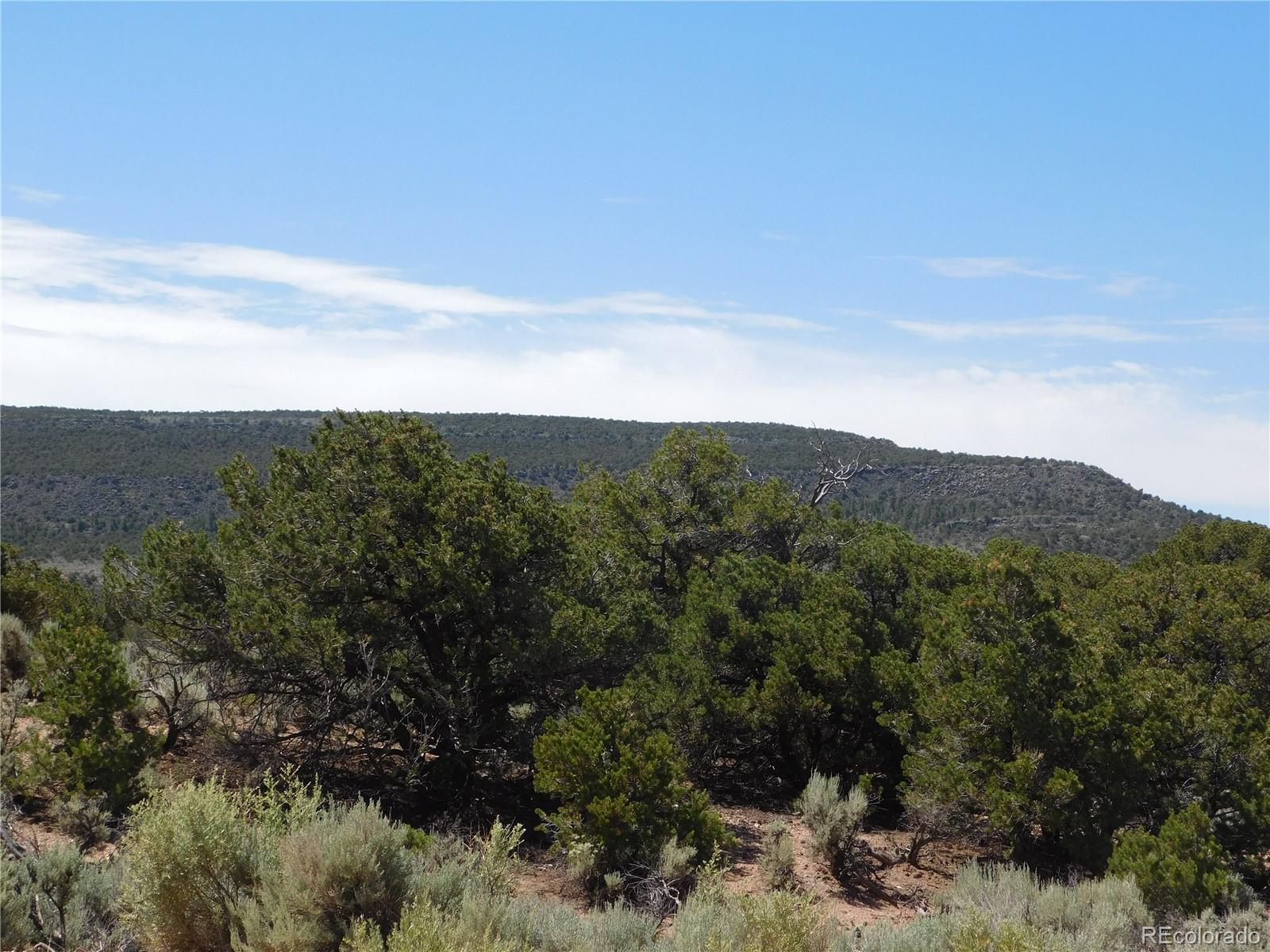 2507 Icehouse Road Fort Garland, CO 81133 - Photo 3 of 20 Gallery Image 3