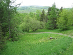 1058 Kenniston Hill Road Glover, VT 05839 - Photo 11 of 23 Gallery Image 11