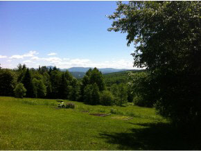 1058 Kenniston Hill Road Glover, VT 05839 - Photo 3 of 23 Gallery Image 3