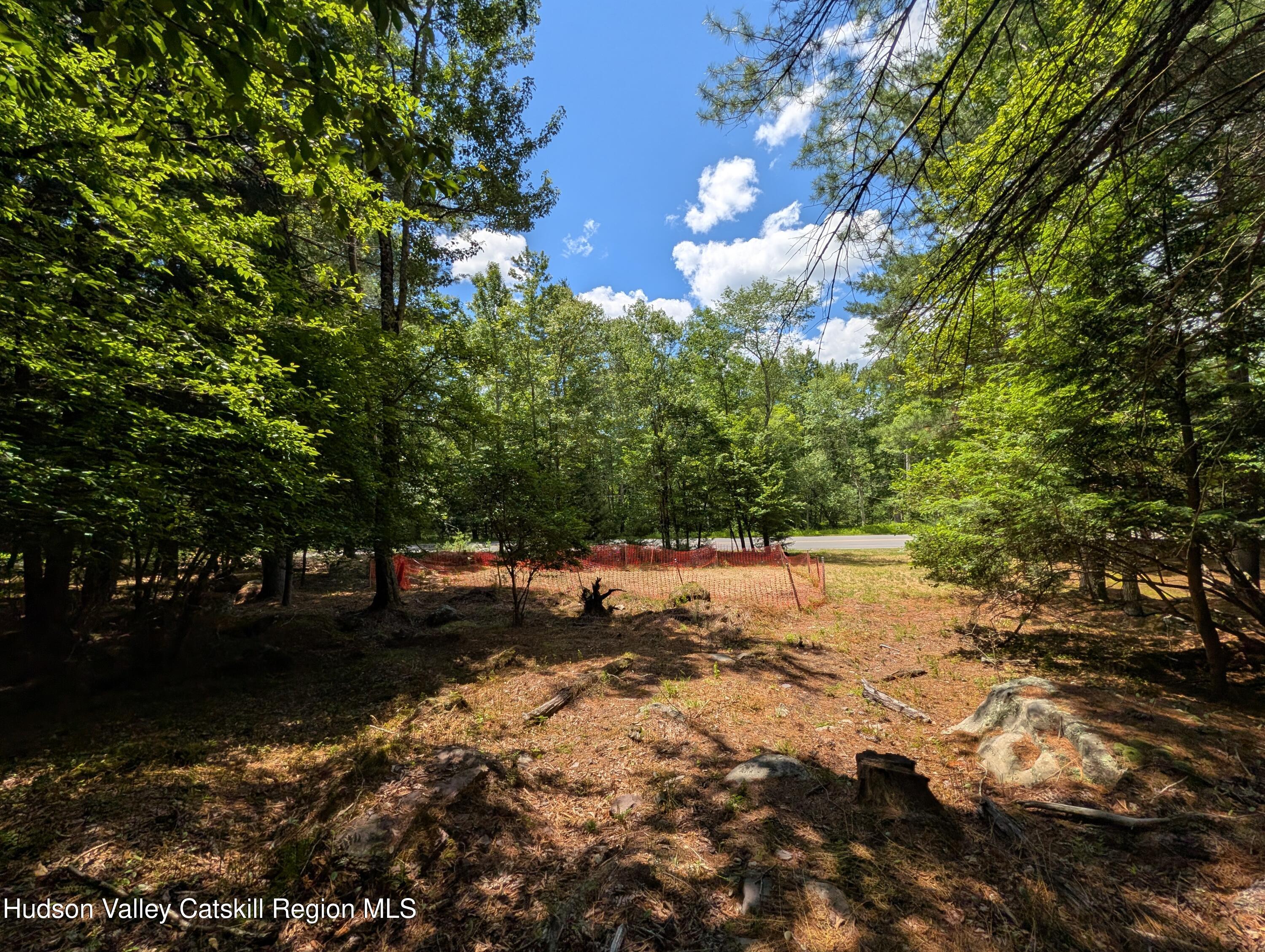 0 Ballard Road Mongaup Valley, NY 12762 - Photo 6 of 10 Ballard septic to road