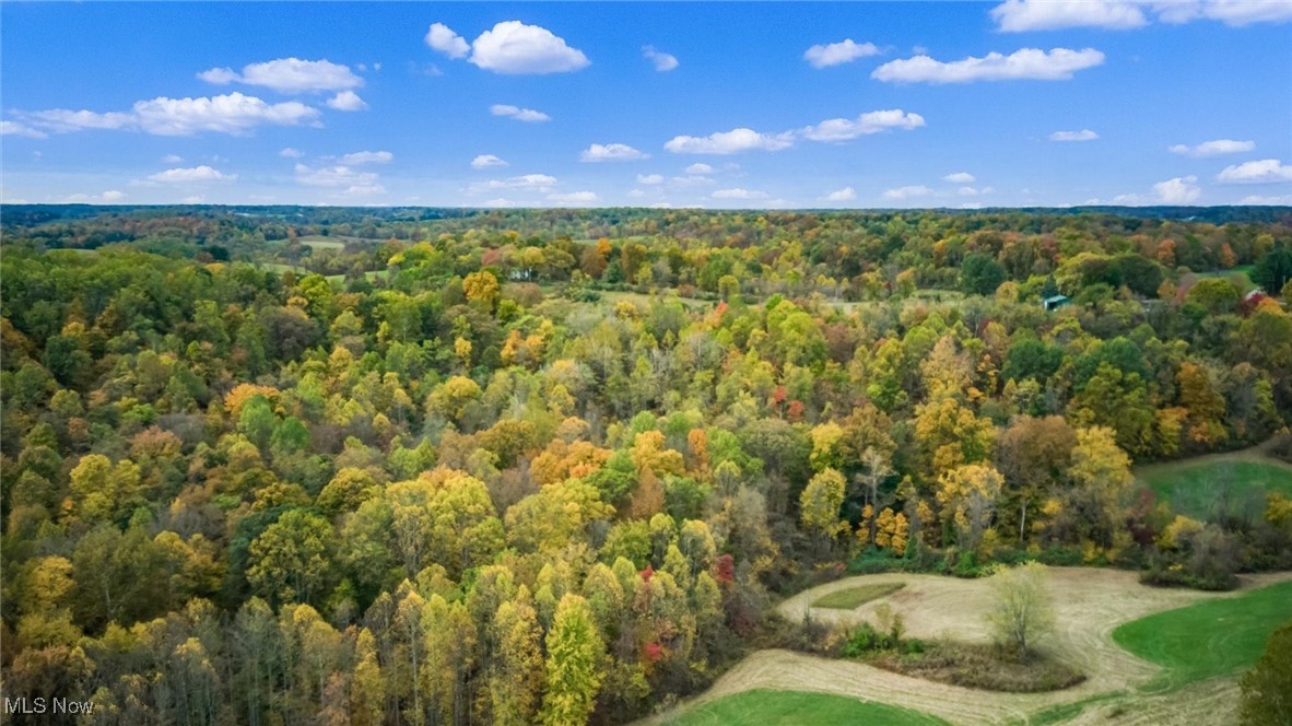 0 Pert Hill Road Hopewell, OH 43746 - Photo 5 of 14