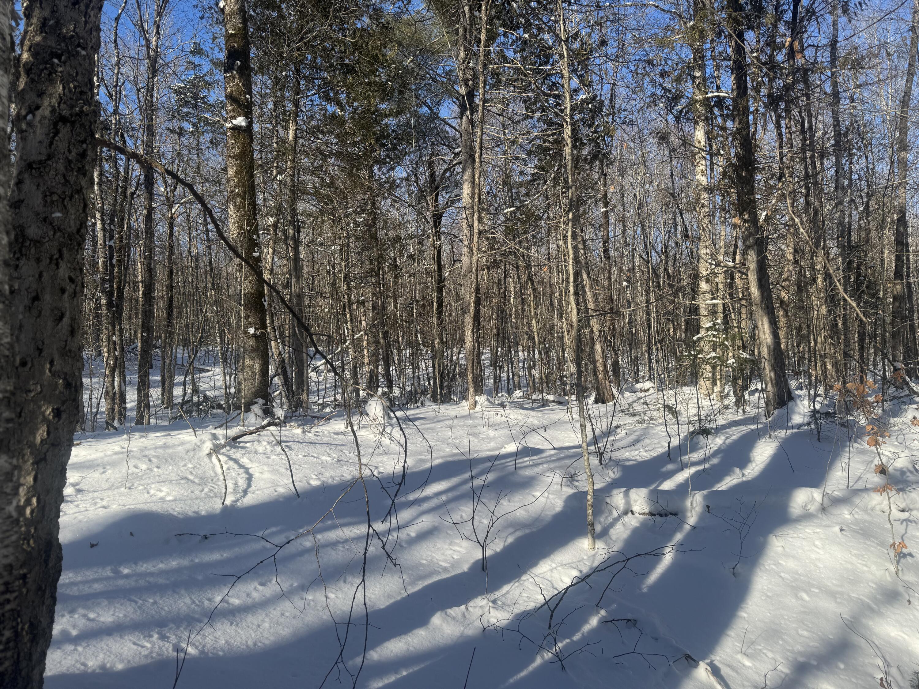 Lot 7 Curtis Farm Road Lincoln, ME 04457 - Photo 18 of 21