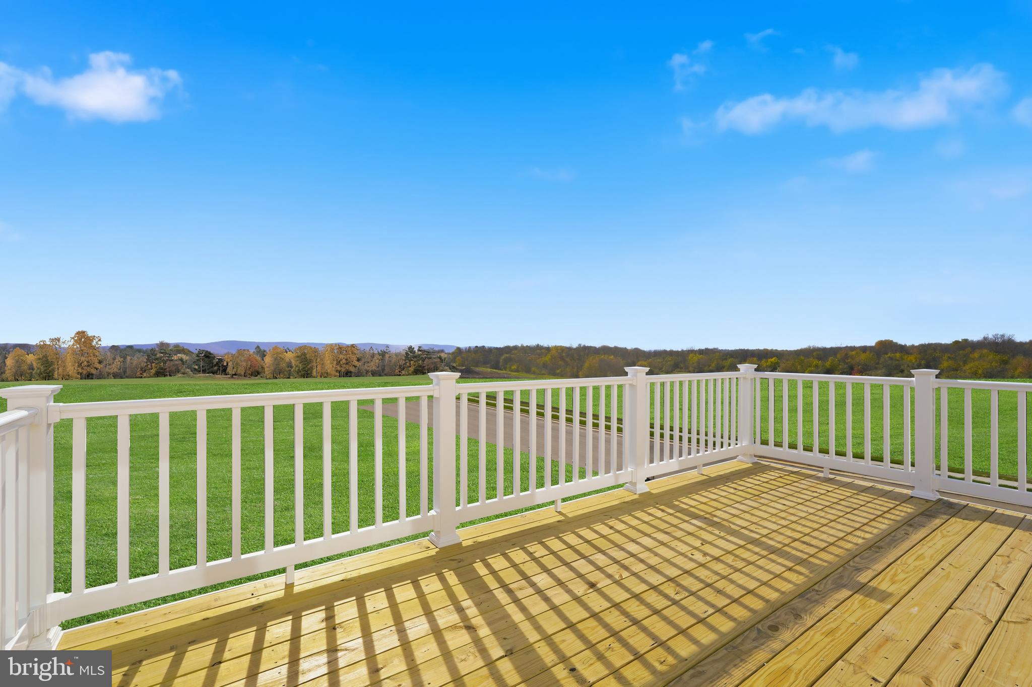 471 Presidents Pointe Avenue, Unit 460 Ranson, WV 25438 - Photo 26 of 41 The Hastings- Exterior Deck