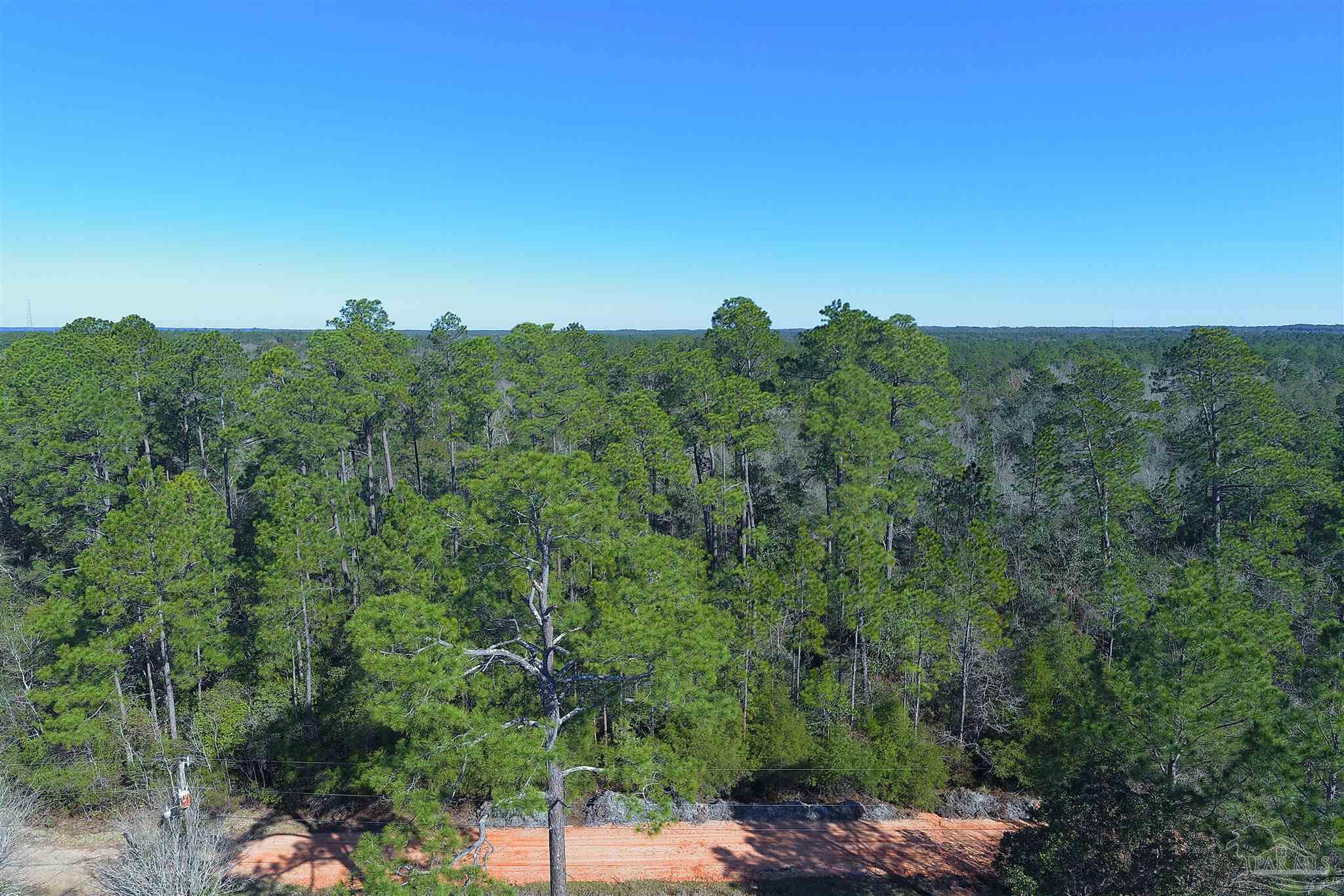 0 Sunny Cove Milton, FL 32583 - Photo 3 of 12