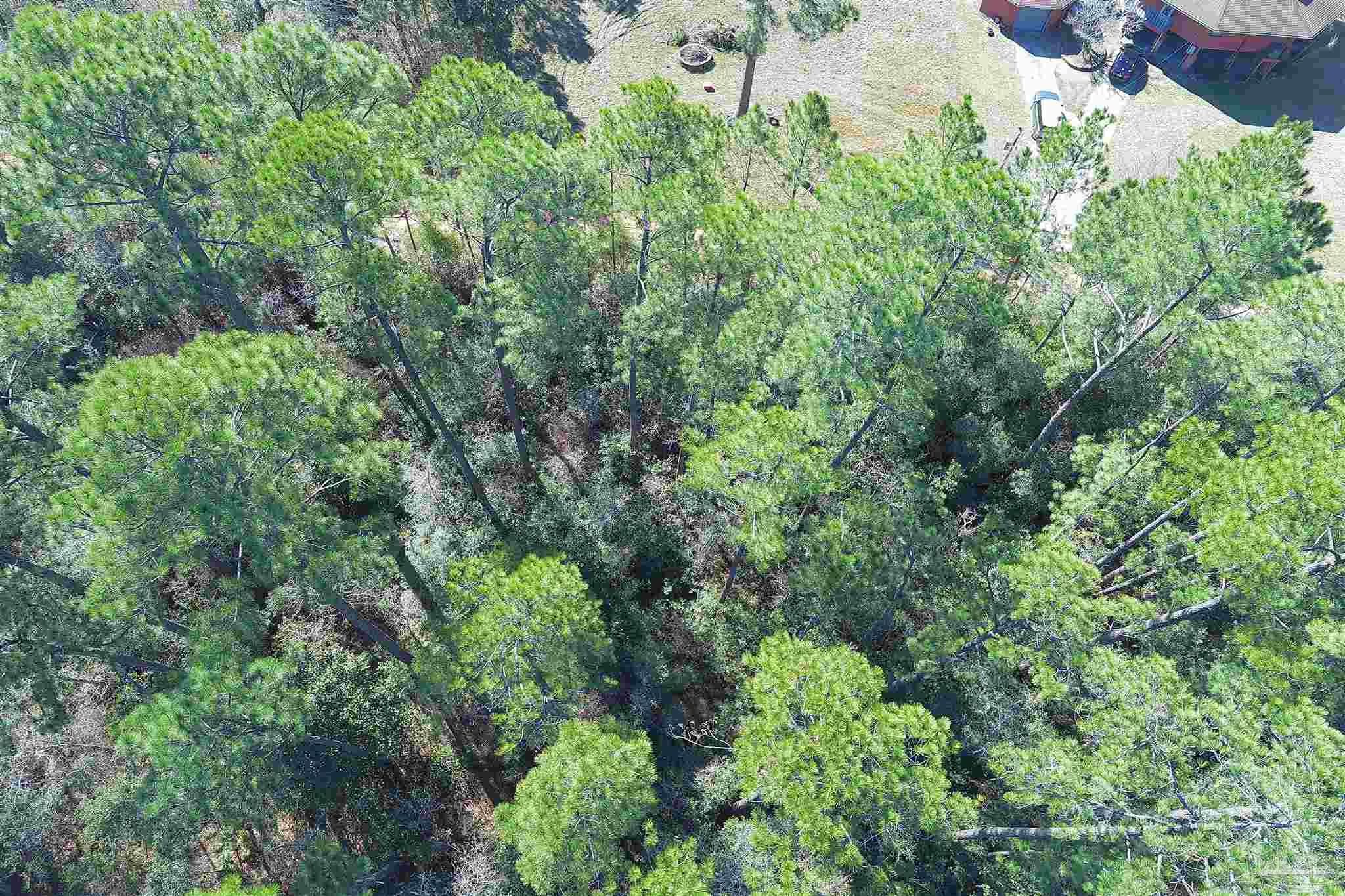 0 Sunny Cove Milton, FL 32583 - Photo 4 of 12