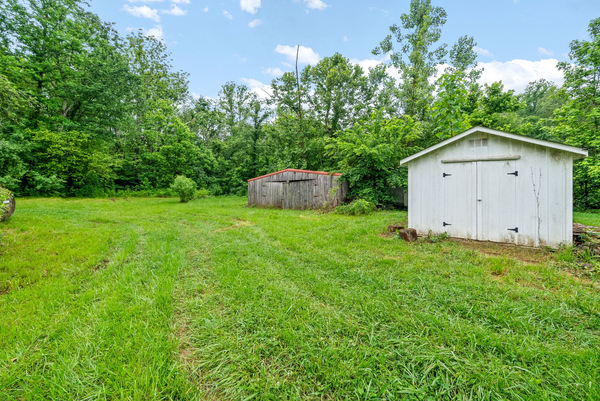 110 Little Fork Road Cumberland City, TN 37050 - Photo 25 of 32 a view of a house with a yard and a tree
