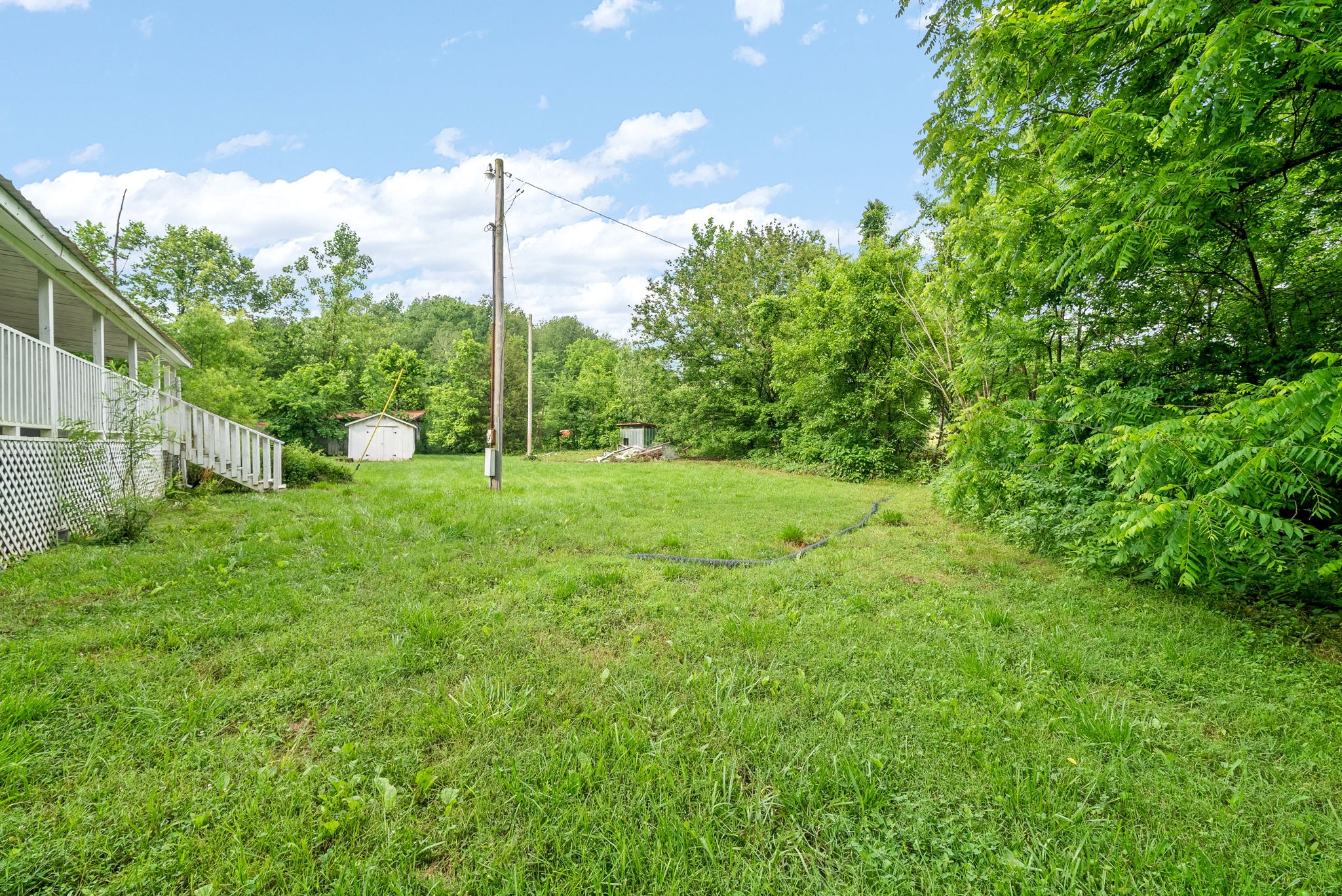 110 Little Fork Road Cumberland City, TN 37050 - Photo 26 of 32 a view of a garden with a tree