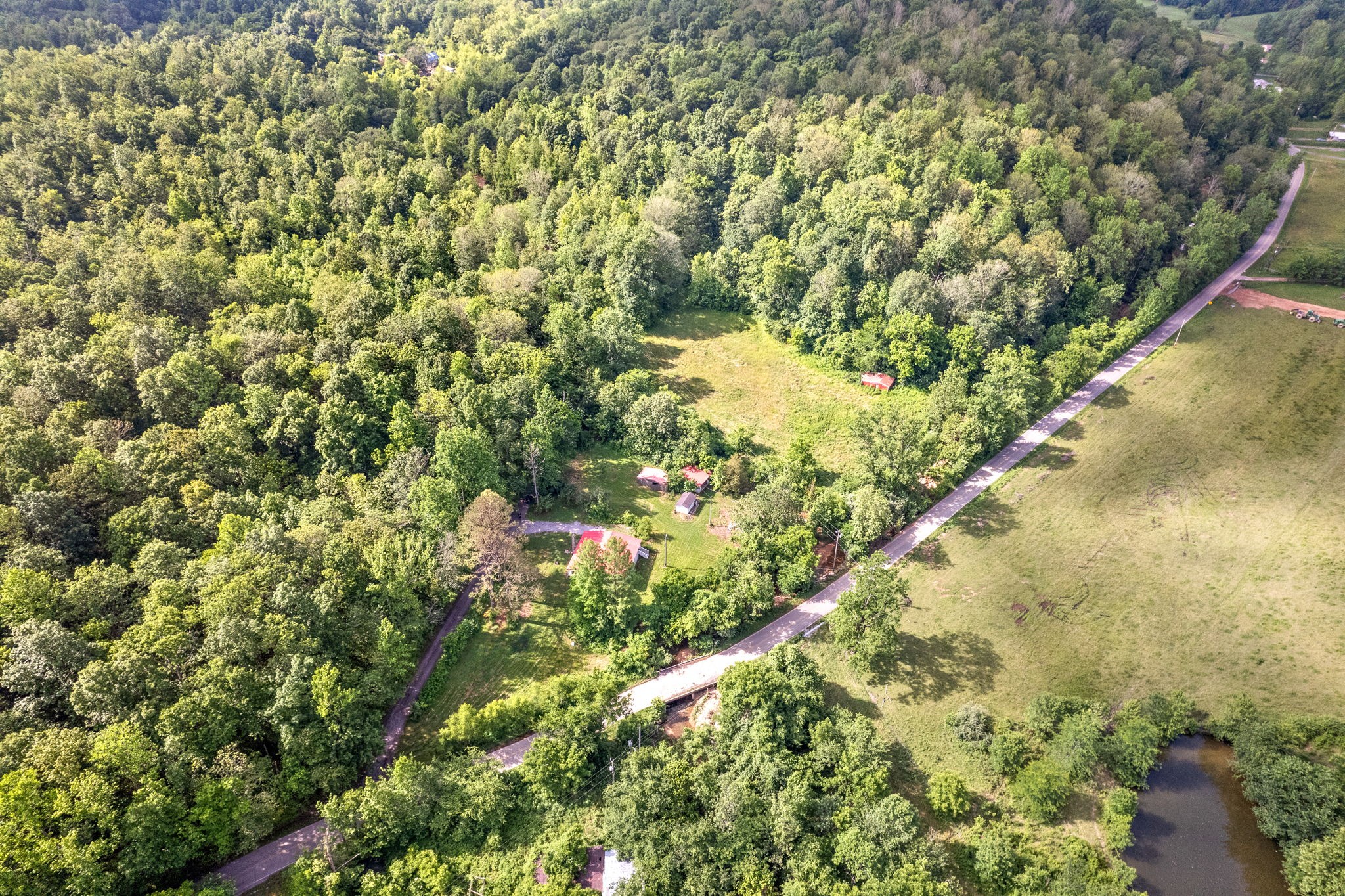 110 Little Fork Road Cumberland City, TN 37050 - Photo 28 of 32 a view of a yard with a tree