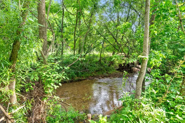 a view of a lake view with a tree