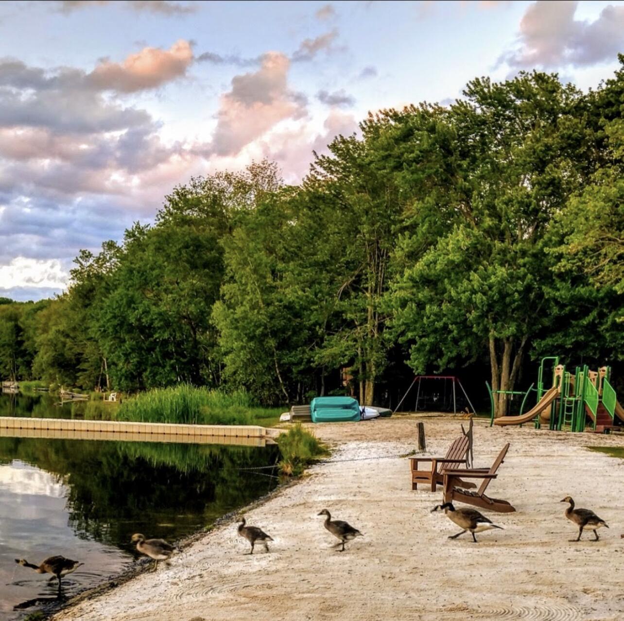 218 State Pk Road Gouldsboro, PA 18424 - Photo 21 of 22 a view of a lake with a bench and trees