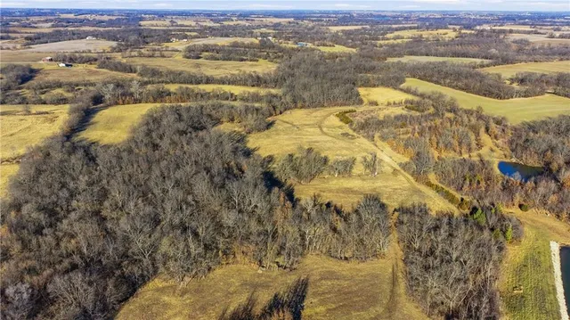 $925,000 | 16289 U Highway, Mayview, MO 64071