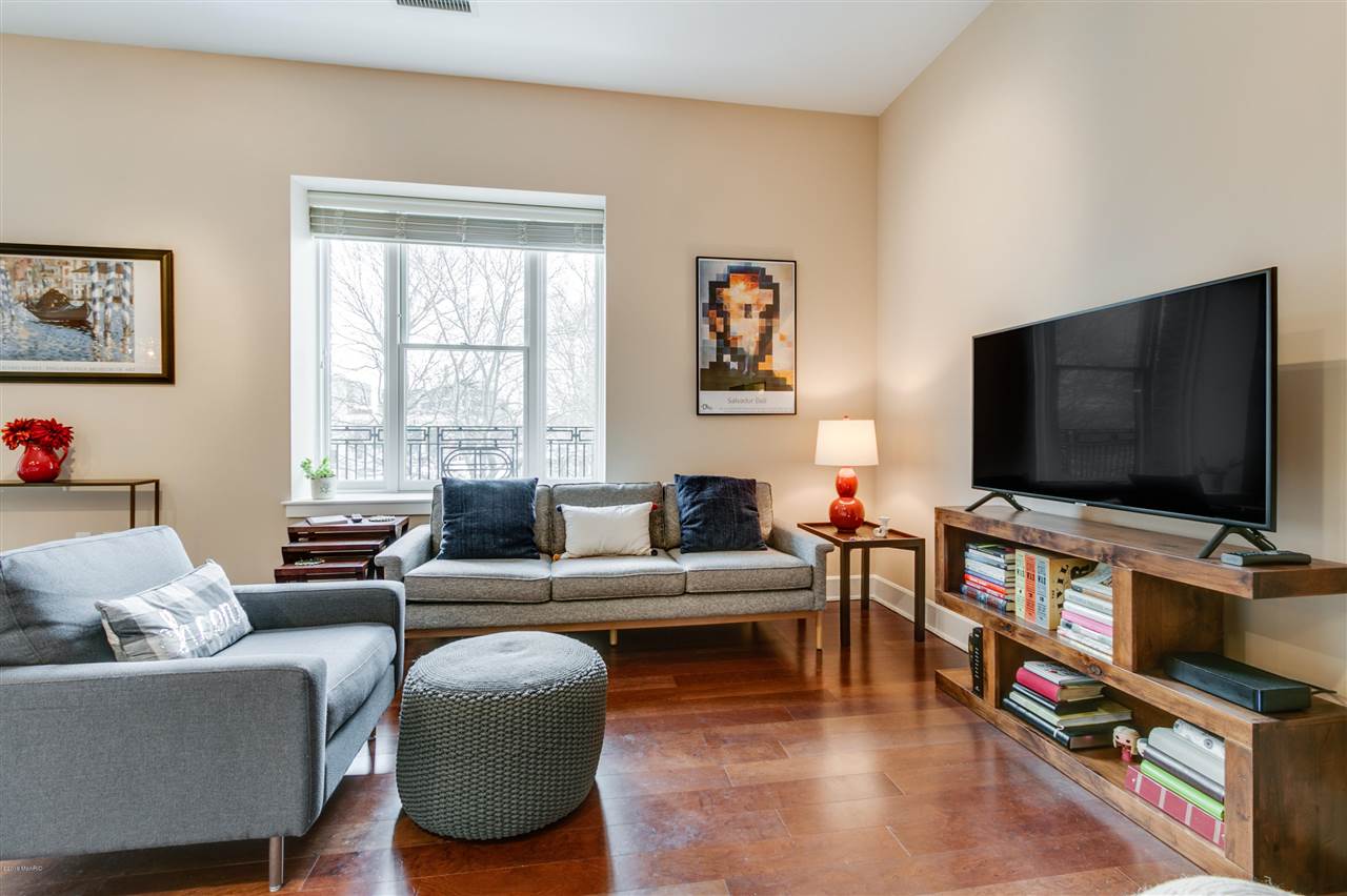 27 Library Street Northeast, Unit 302 Grand Rapids, MI 49503 - Photo 6 of 27