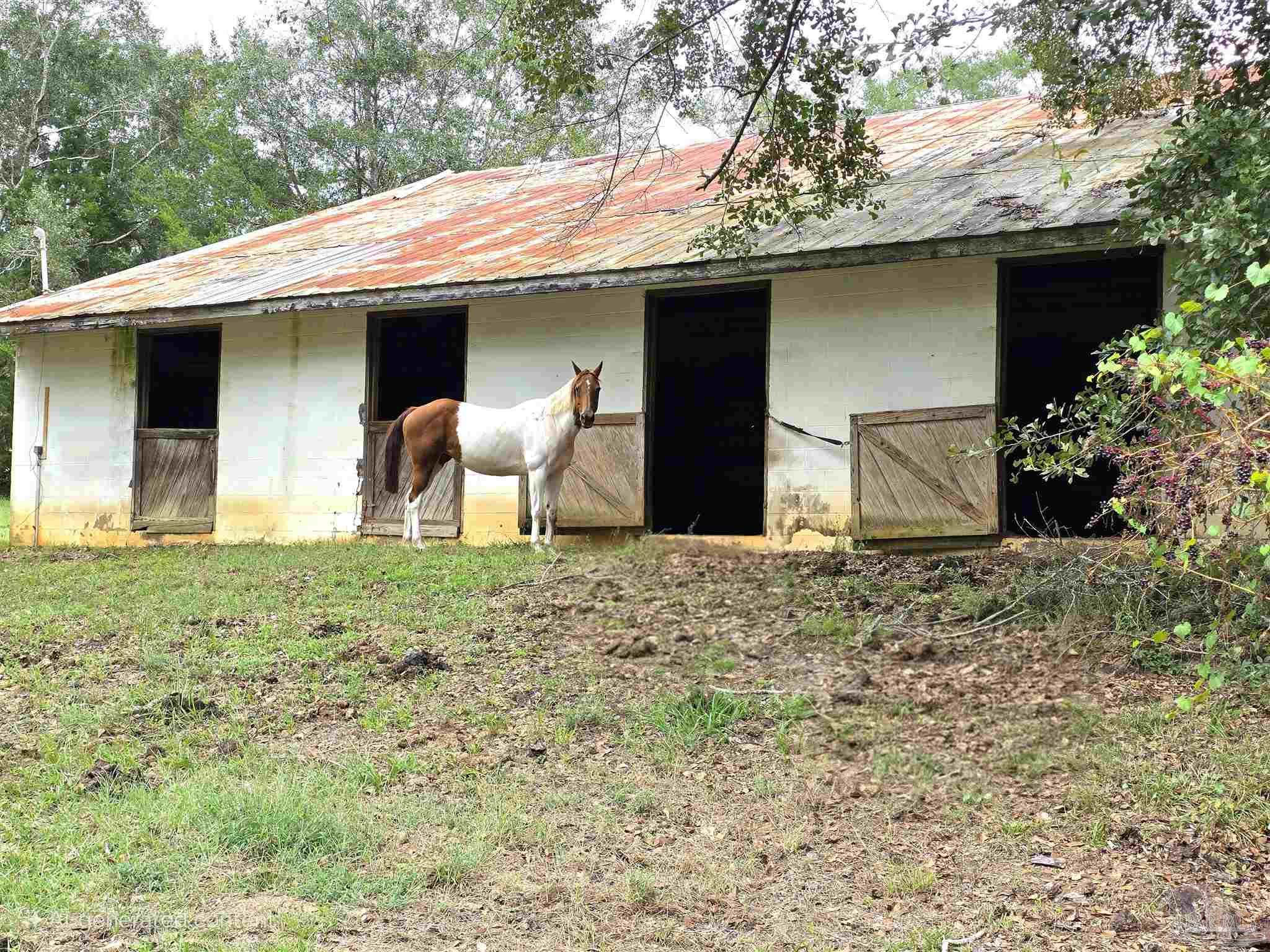 5516 Molino Road Molino, FL 32577 - Photo 46 of 72