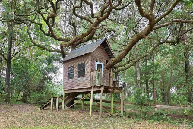 a view of a yard with a tree