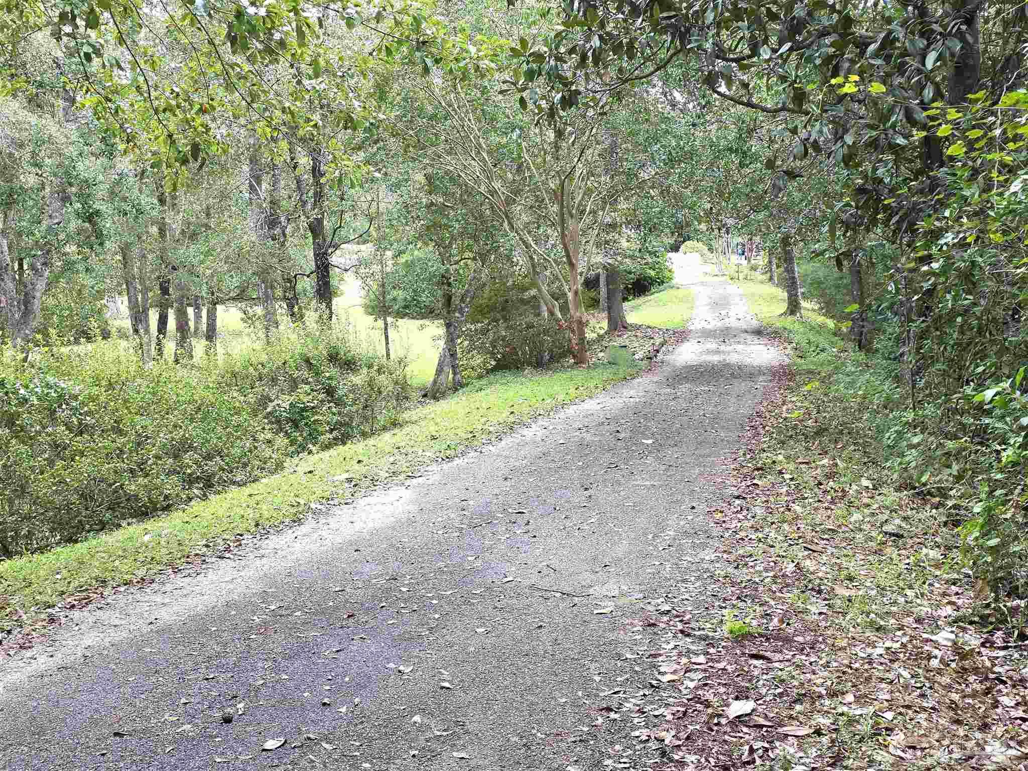 5516 Molino Road Molino, FL 32577 - Photo 50 of 72