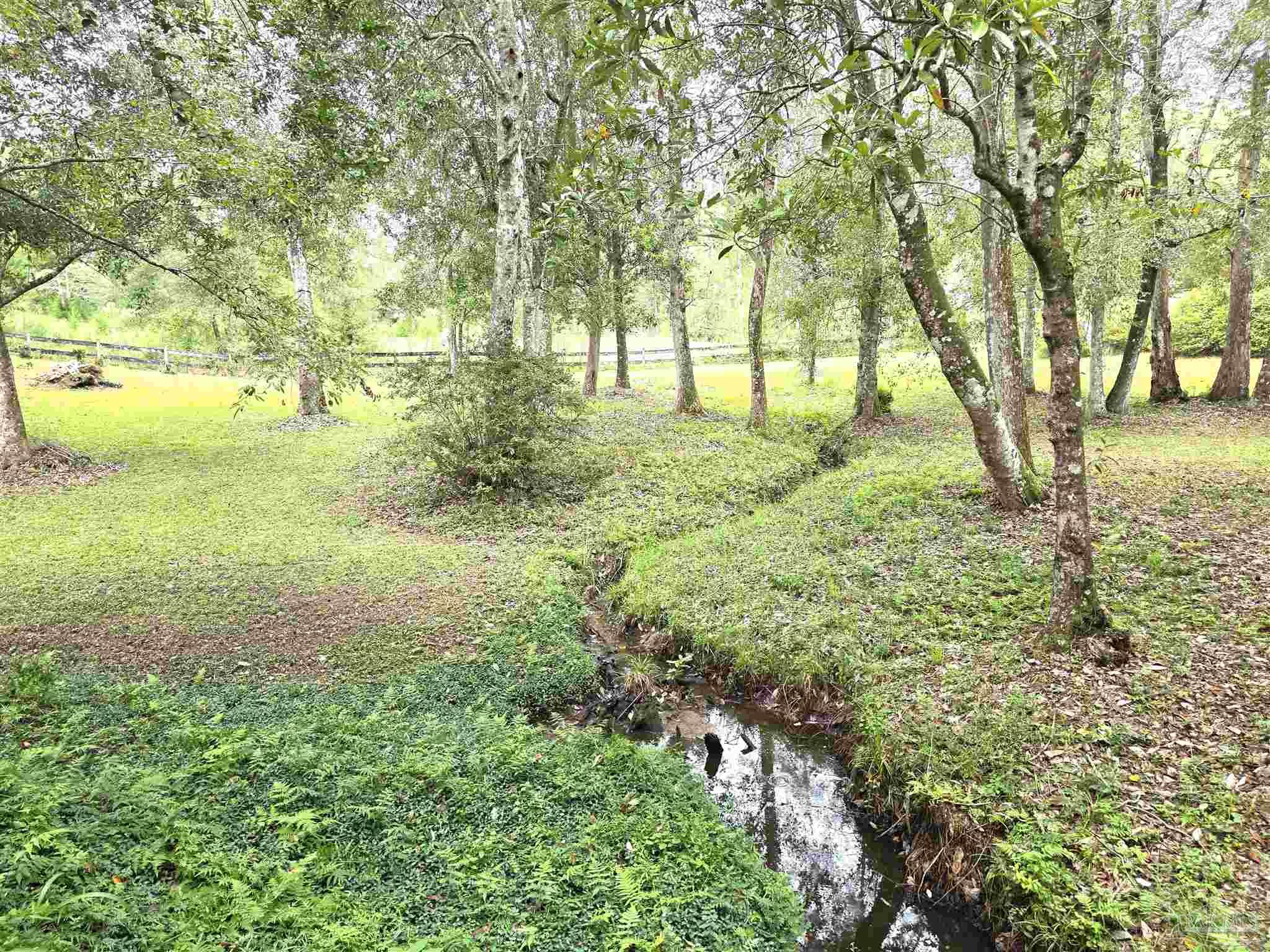 5516 Molino Road Molino, FL 32577 - Photo 52 of 72