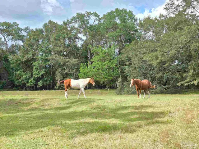 $1,200,000 | 5516 Molino Road, Molino, FL 32577