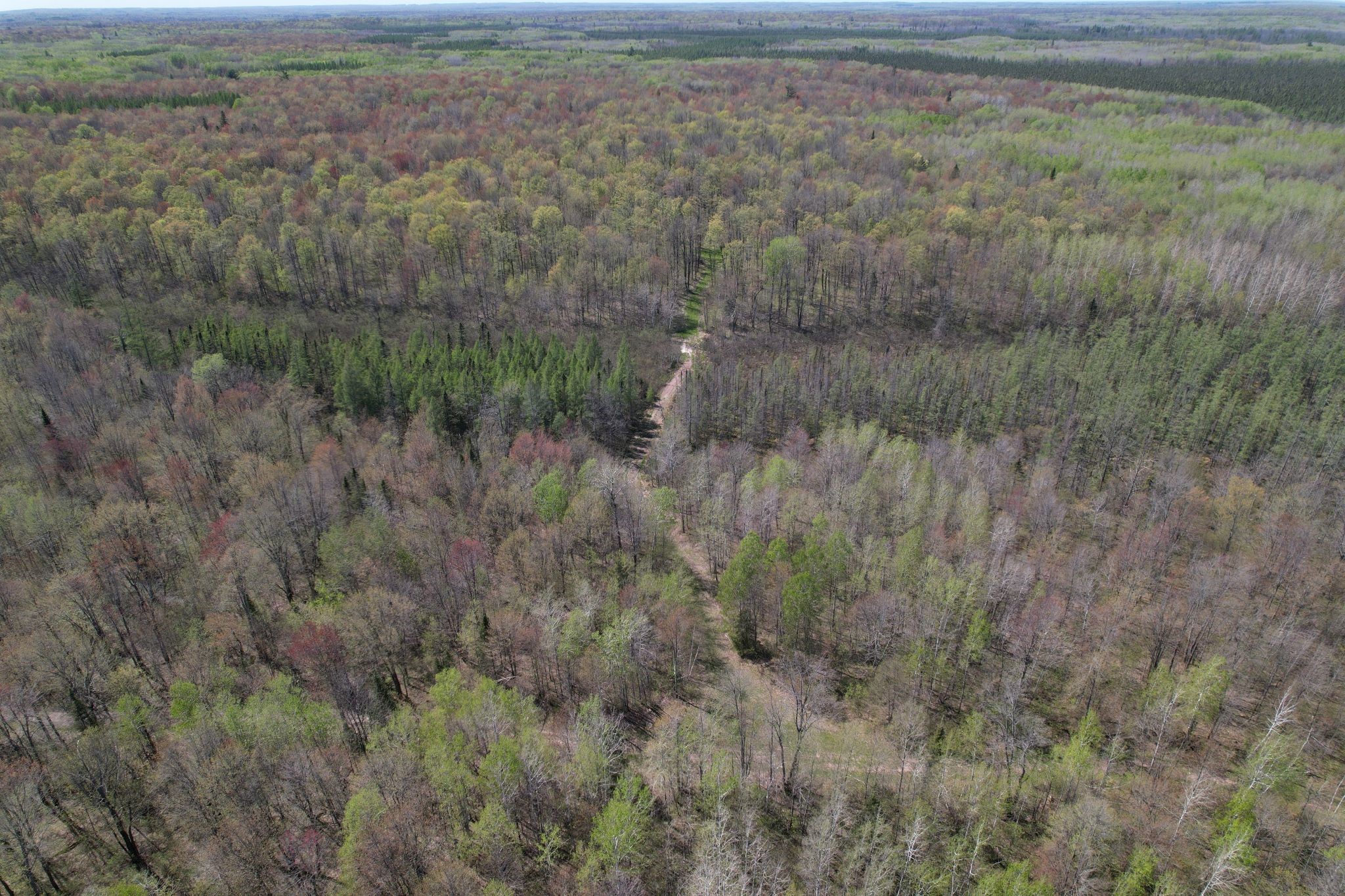 Off Hay Creek Road Prentice, WI 54556 - Photo 6 of 44