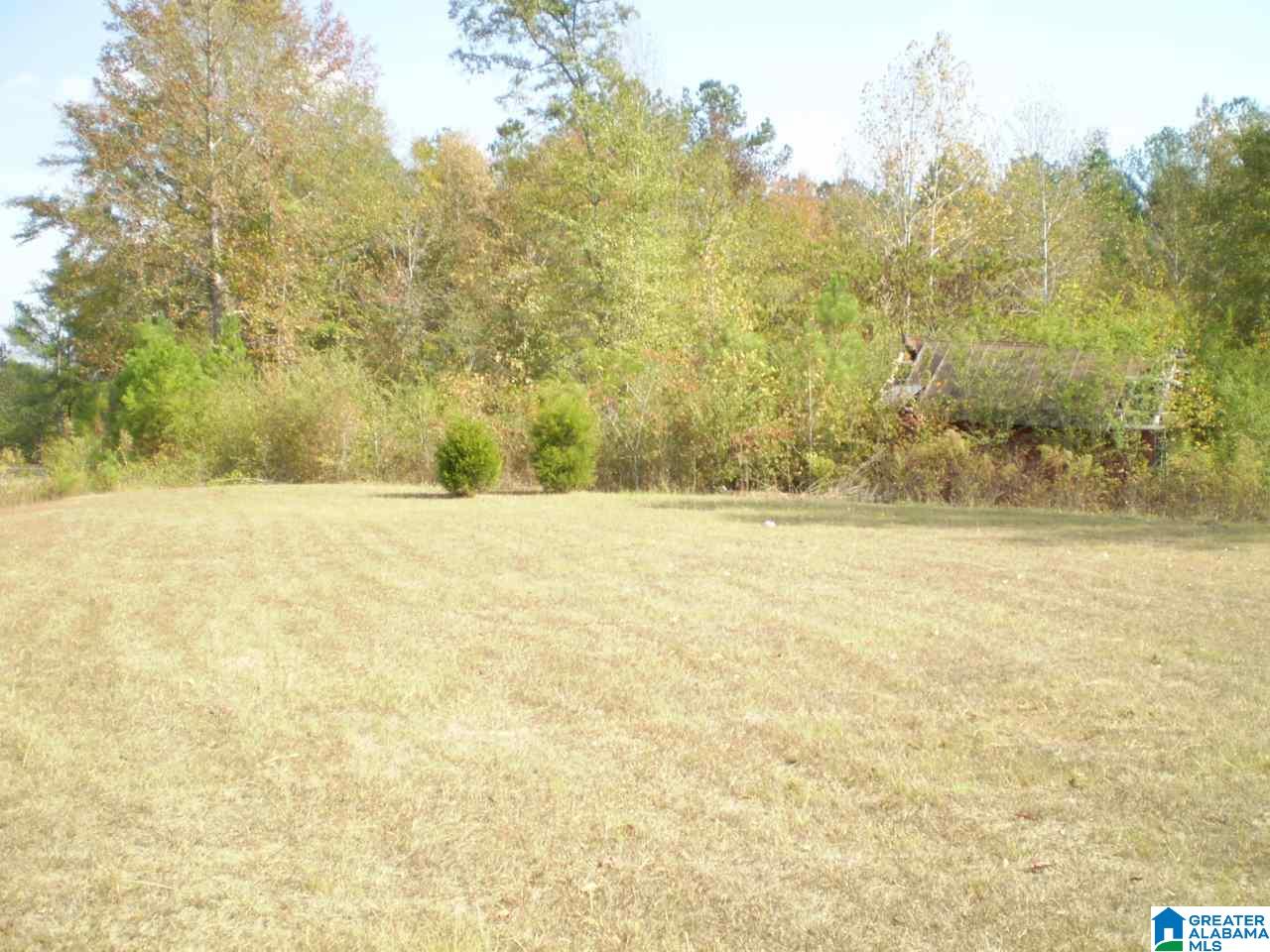 9060 Shoal Creek Road Ashville, AL 35953 - Photo 6 of 24