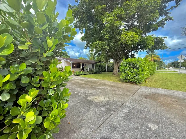 a view of a garden with plants