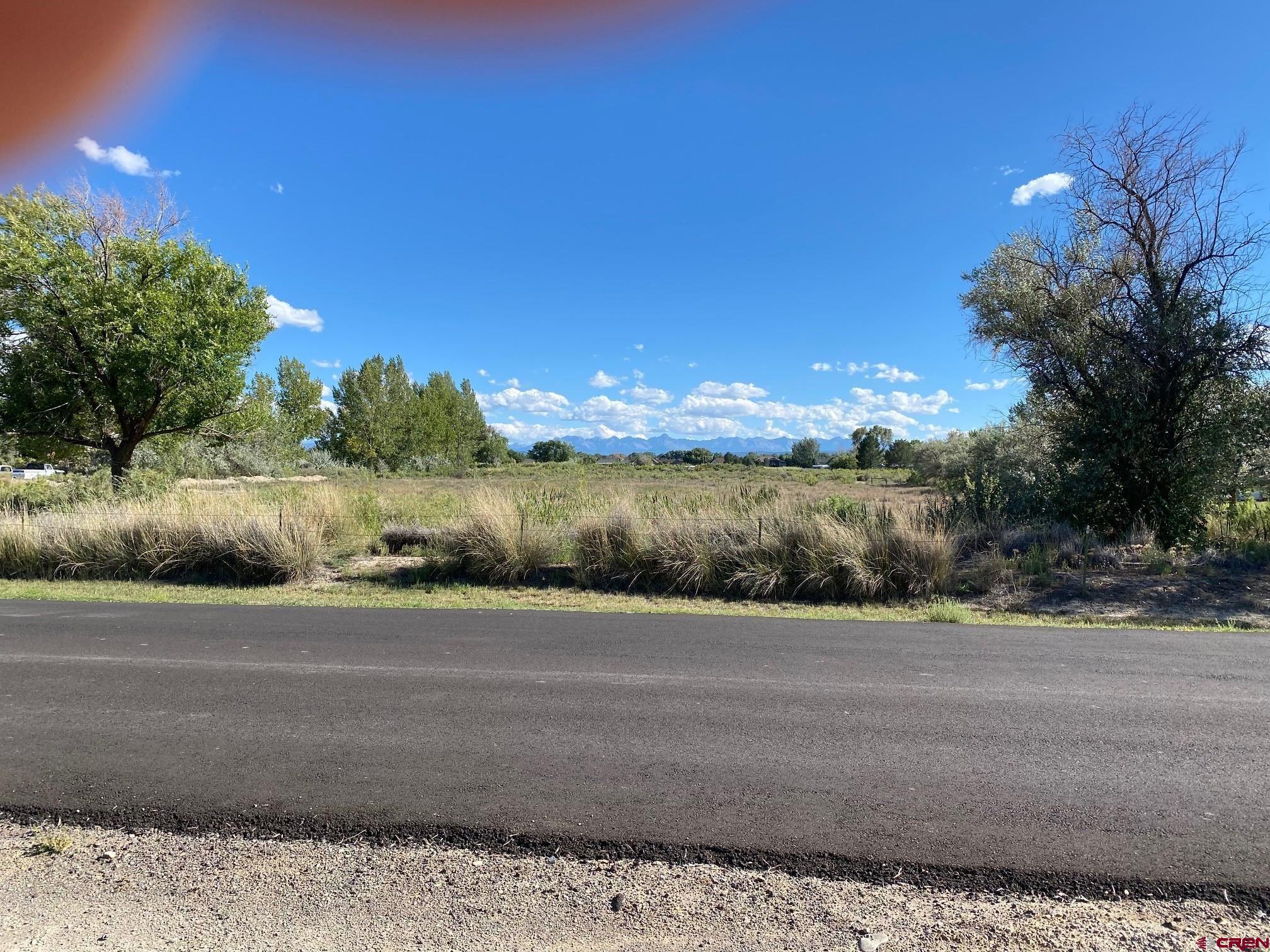 1934 Odelle Road Montrose, CO 81401 - Photo 3 of 10 a view of a road with a yard