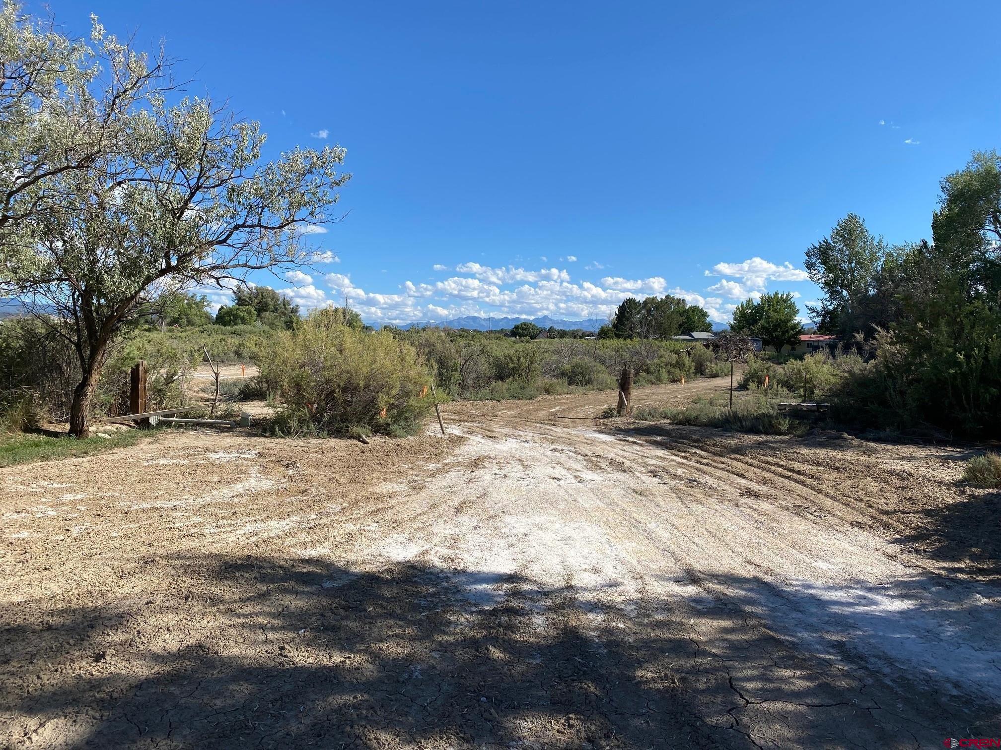 1934 Odelle Road Montrose, CO 81401 - Photo 6 of 10 a view of a yard with a large tree