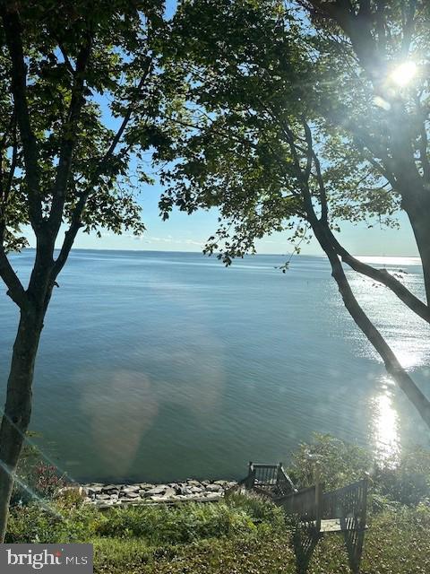 117 Chesapeake Avenue Prince Frederick, MD 20678 - Photo 5 of 65 a view of a yard