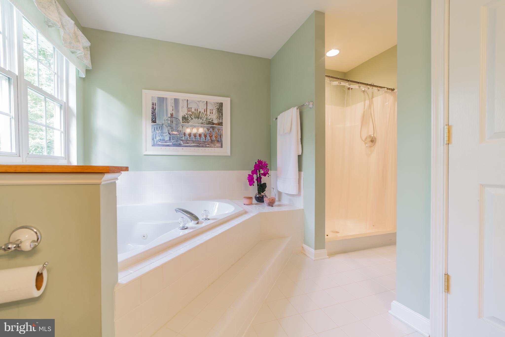 1703 Bay Road Shady Side, MD 20764 - Photo 16 of 27 Master bathroom with jetted tub and shower