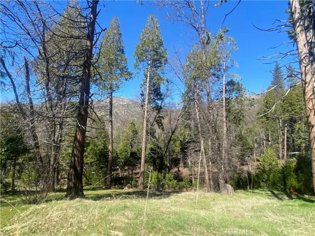 a view of a backyard of the house
