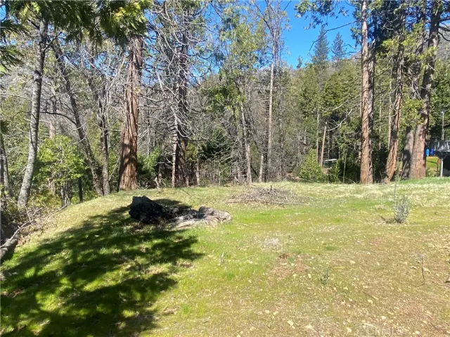 a view of swimming pool with trees