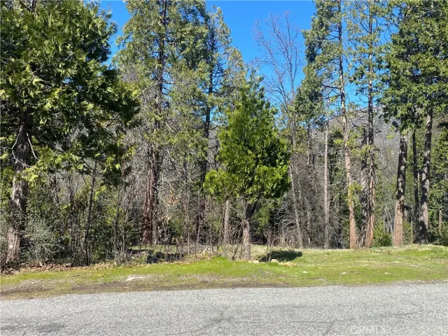 a view of a house with a yard and large trees