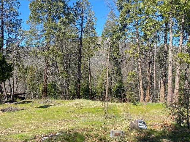 a view of swimming pool with trees